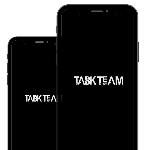 Task Team Project Management