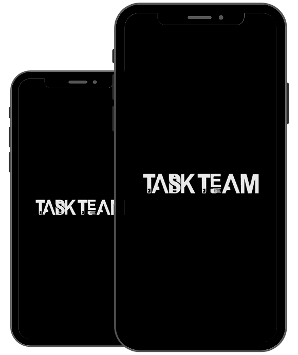 Task Team